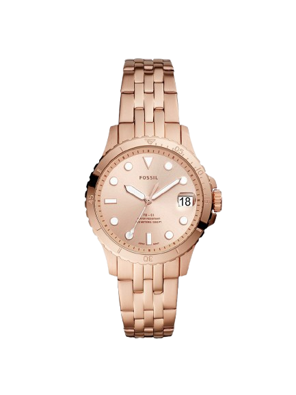Fossil ES4748